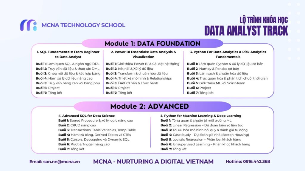 Chi Tiết Lộ trình nghề nghiệp Data Analyst Track