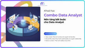 Combo Data Analyst cơ bản