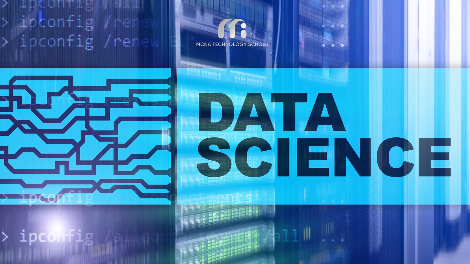 Data Science cơ hội việc làm