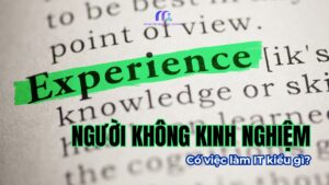 Không có nền tảng CNTT
